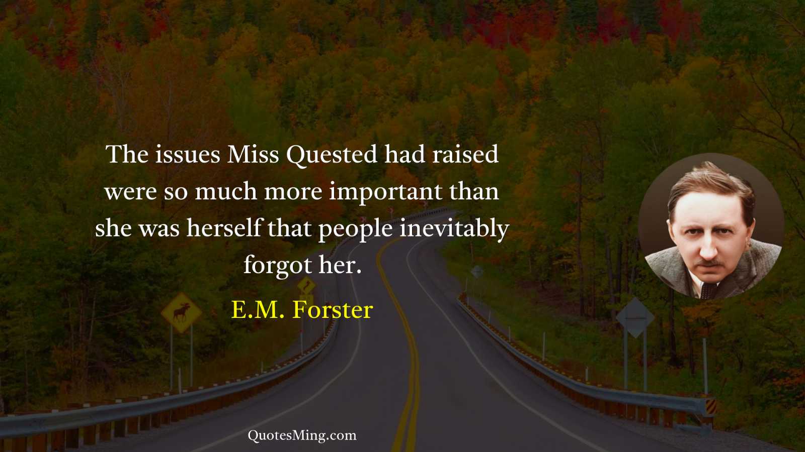 The issues Miss Quested had raised were so much more