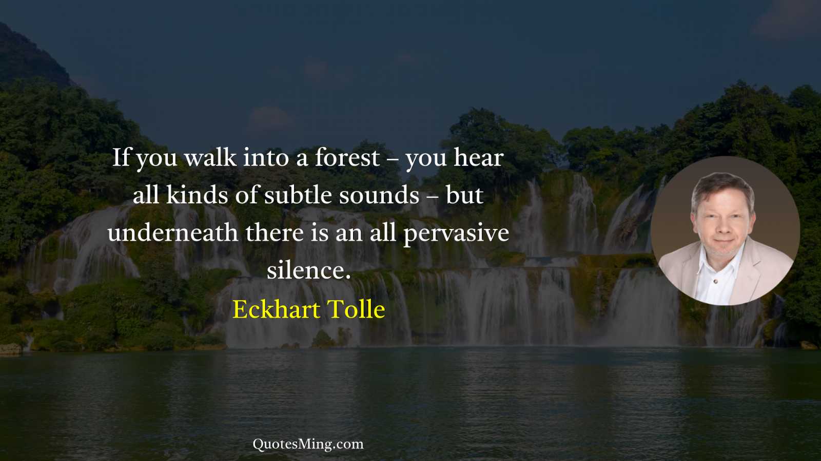 If you walk into a forest – you hear all