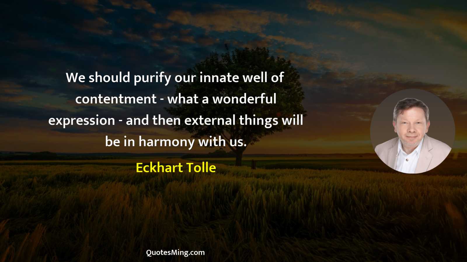 We should purify our innate well of contentment - what