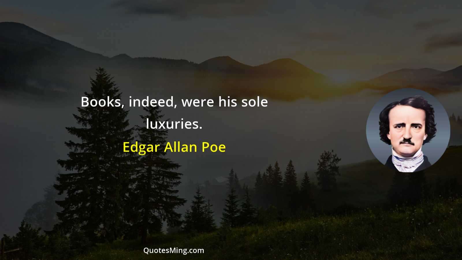 Books indeed were his sole luxuries