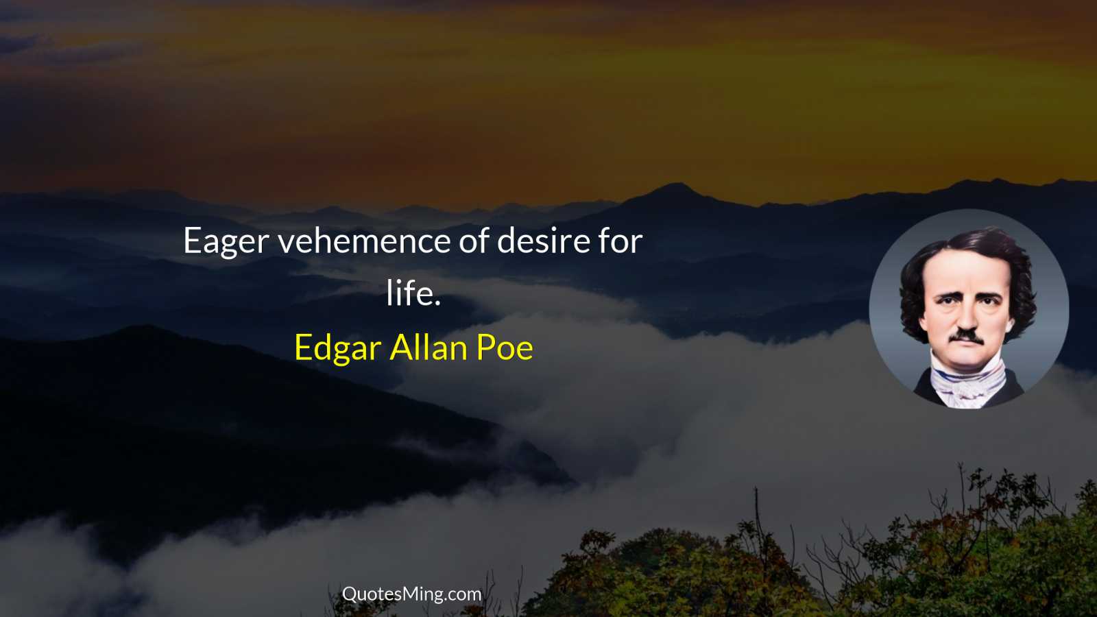 Eager vehemence of desire for life