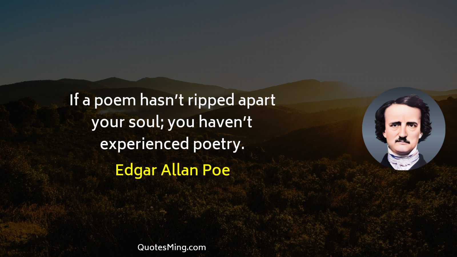 If a poem hasn’t ripped apart your soul; you haven’t