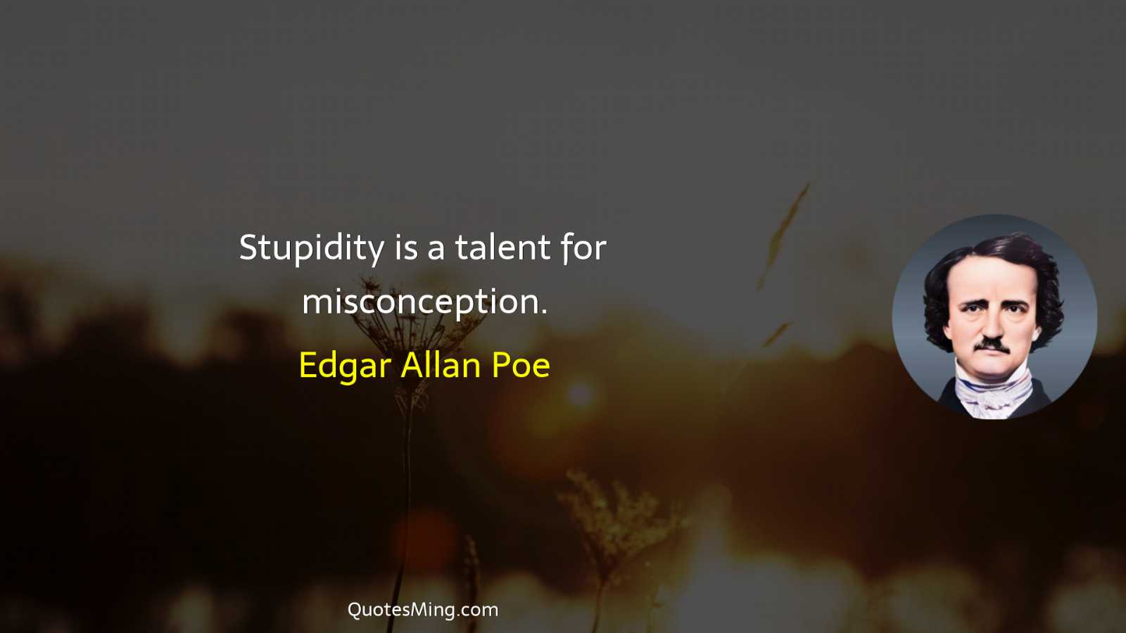 Stupidity is a talent for misconception