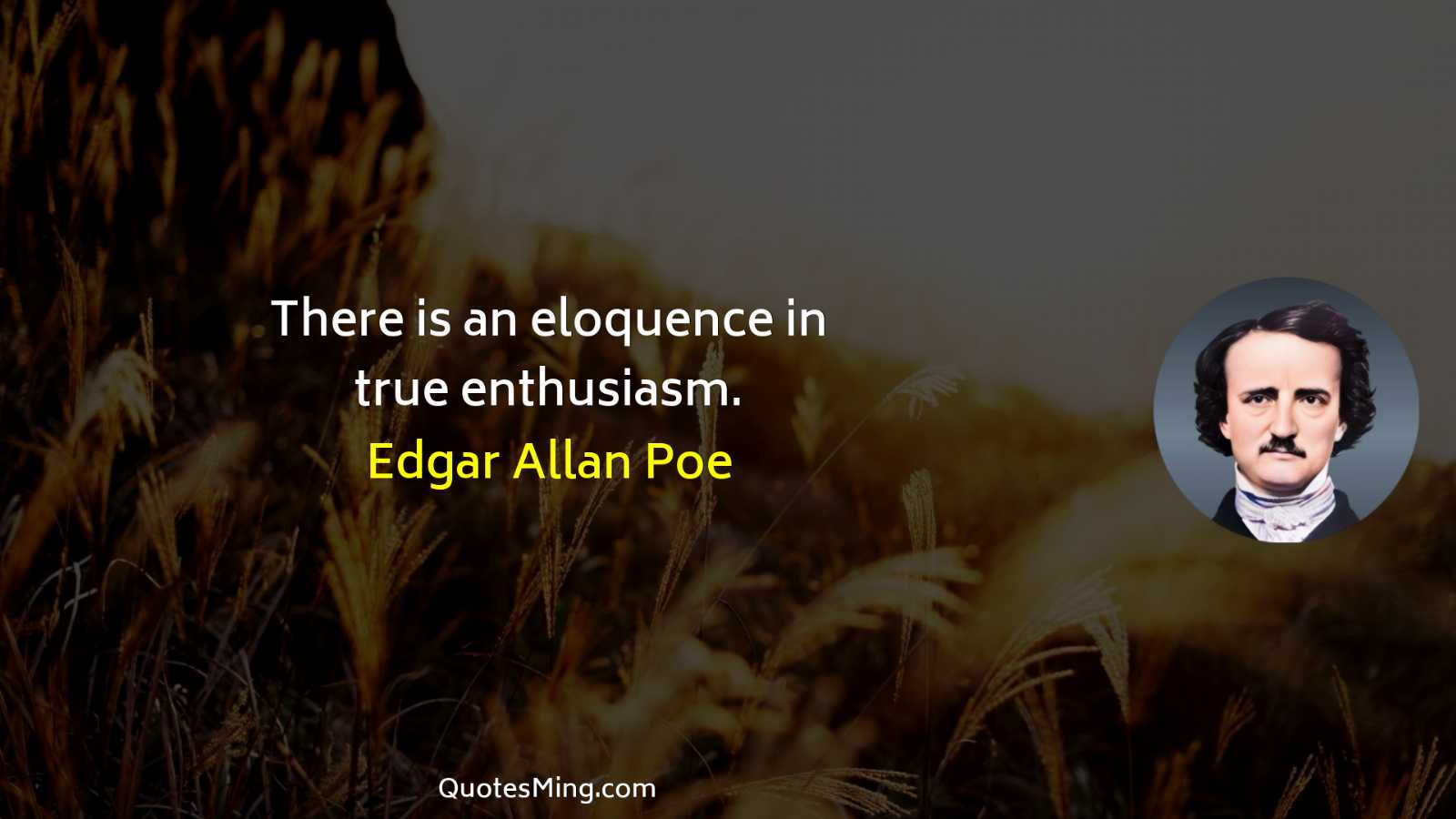 There is an eloquence in true enthusiasm