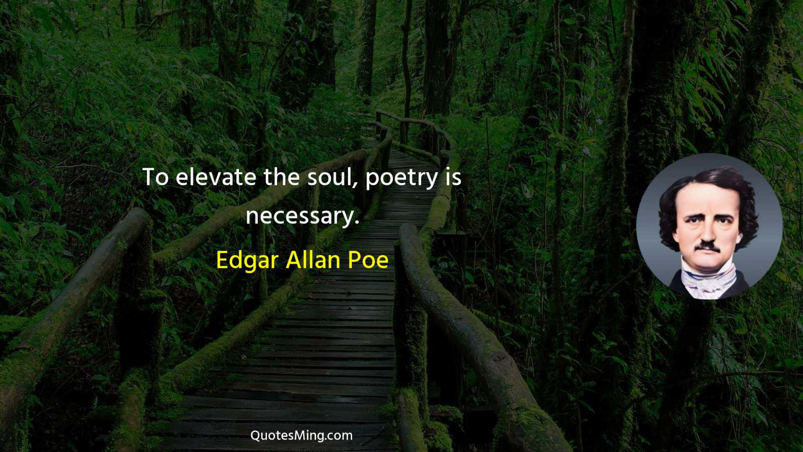 To elevate the soul poetry is necessary