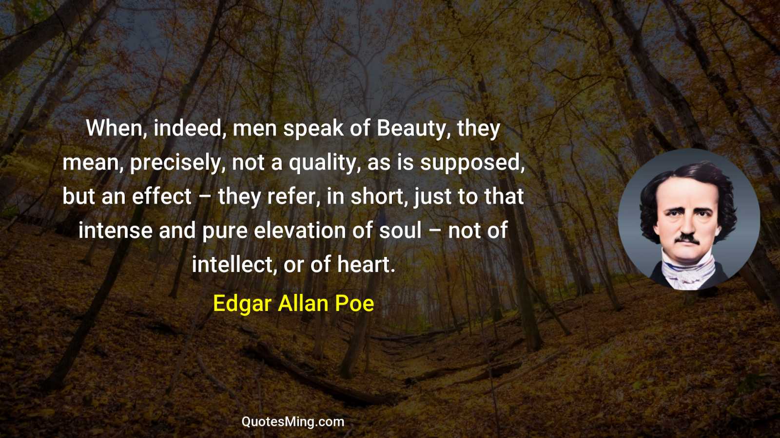 When indeed men speak of Beauty they mean precisely not