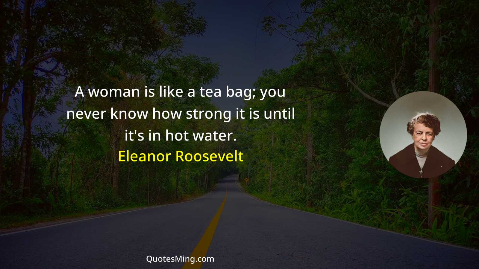 A woman is like a tea bag; you never know