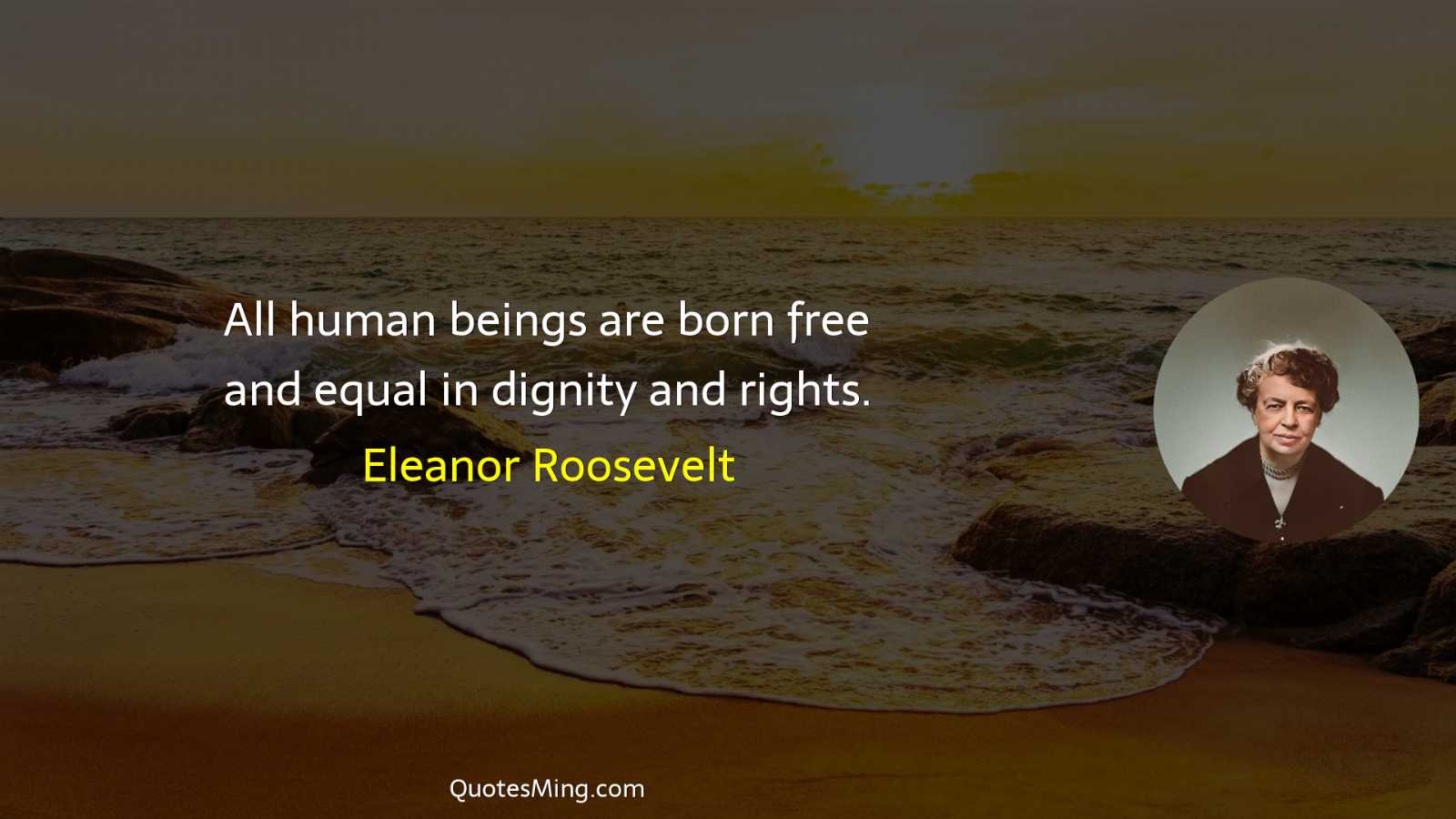 All human beings are born free and equal in dignity