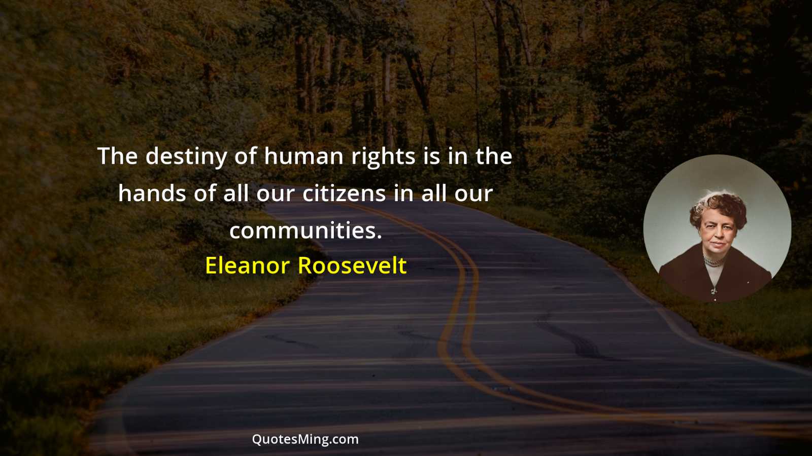 The destiny of human rights is in the hands of