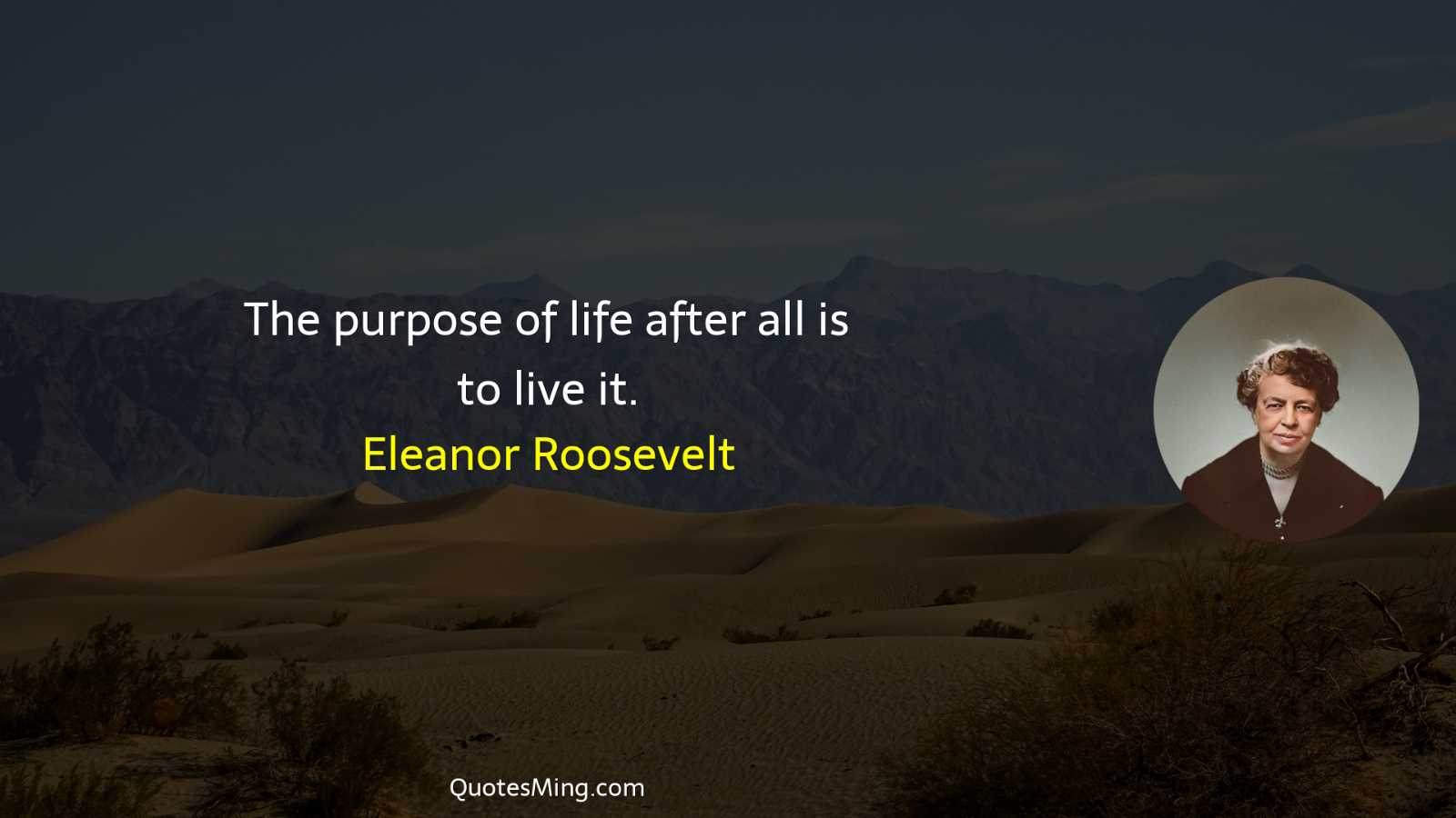 The purpose of life after all is to live it