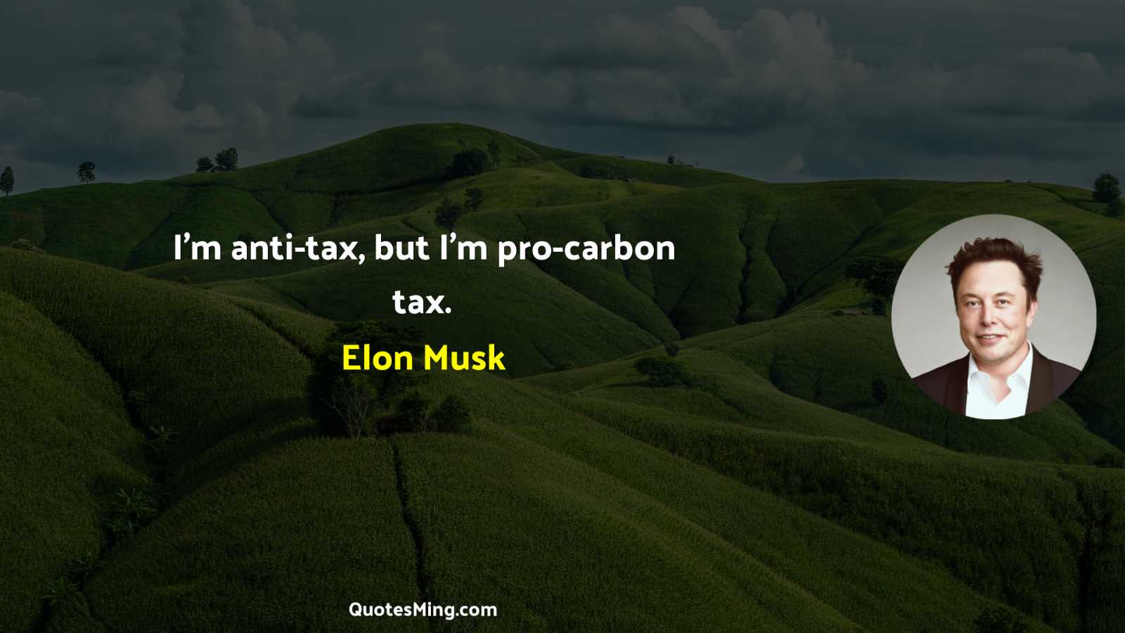 I'm anti-tax but I'm pro-carbon tax