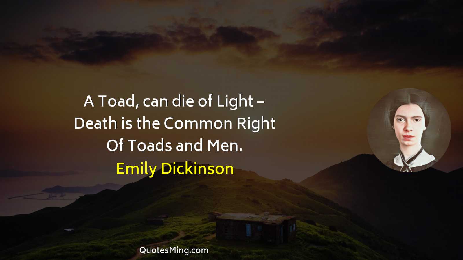 A Toad can die of Light – Death is the