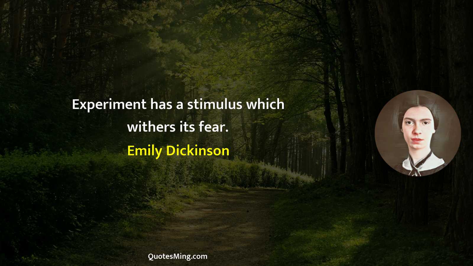 Experiment has a stimulus which withers its fear