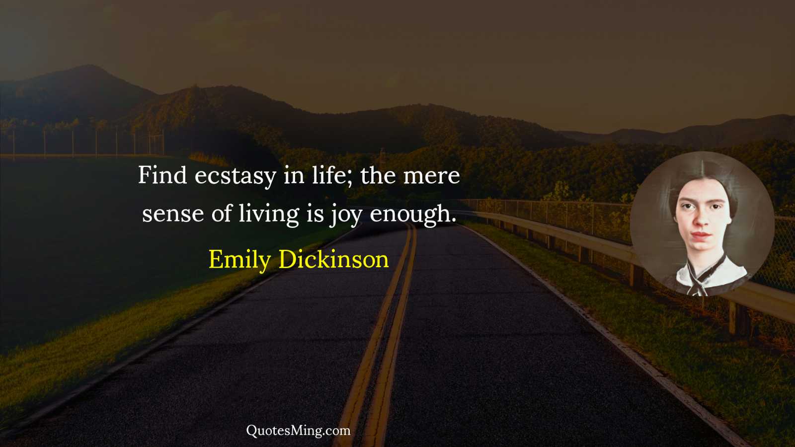 Find ecstasy in life; the mere sense of living is