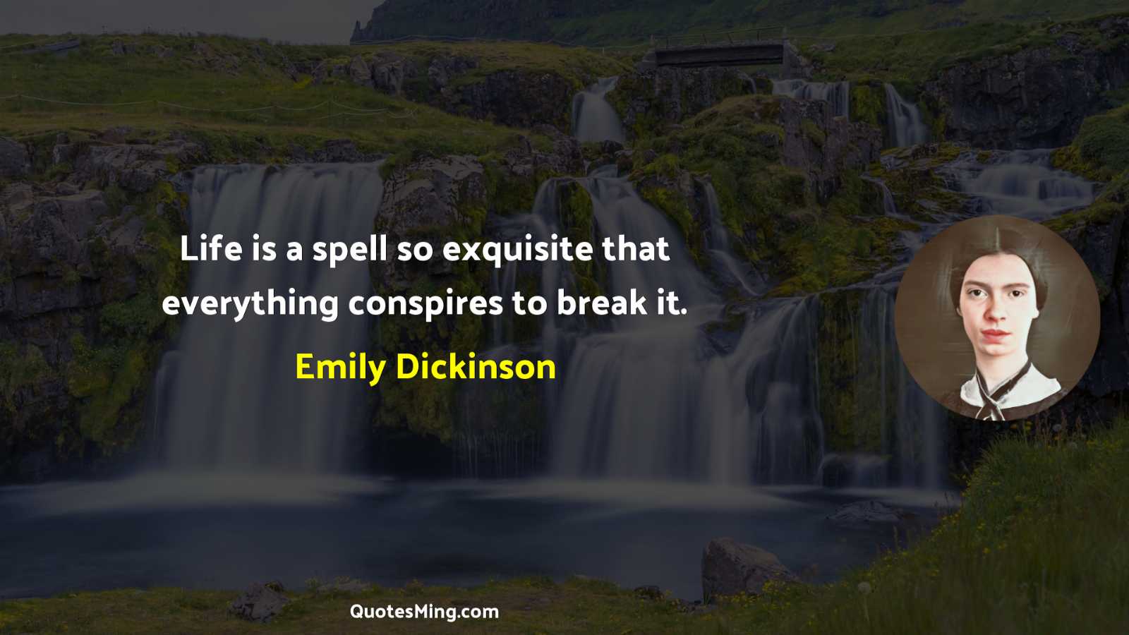 Life is a spell so exquisite that everything conspires to