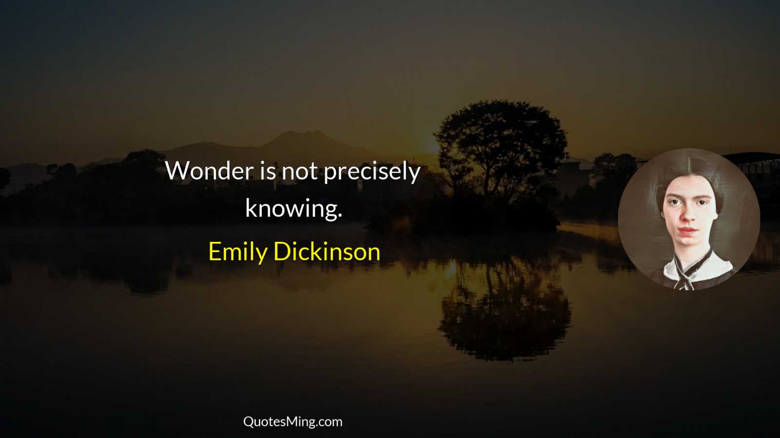 Wonder is not precisely knowing