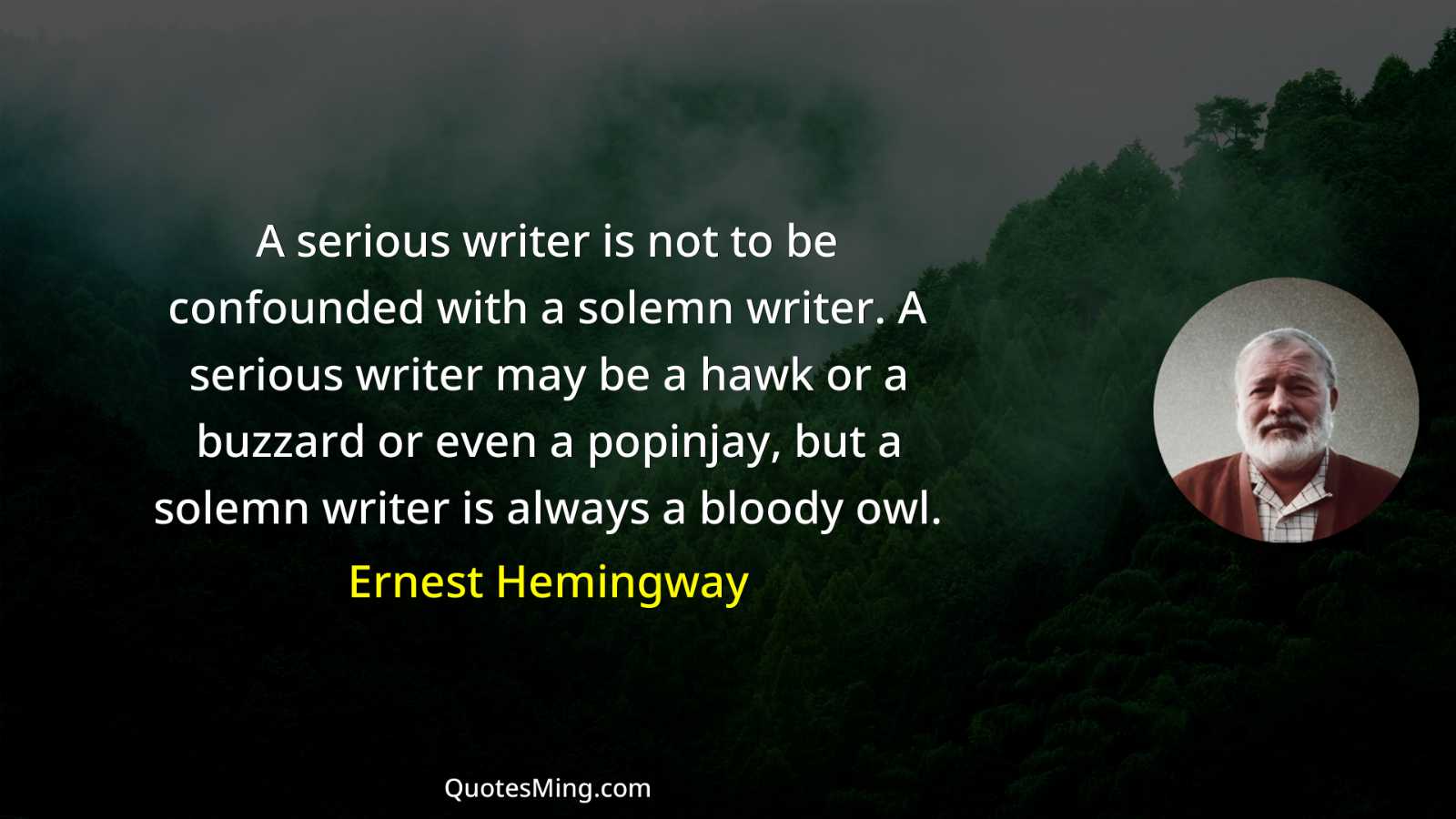 A serious writer is not to be confounded with a