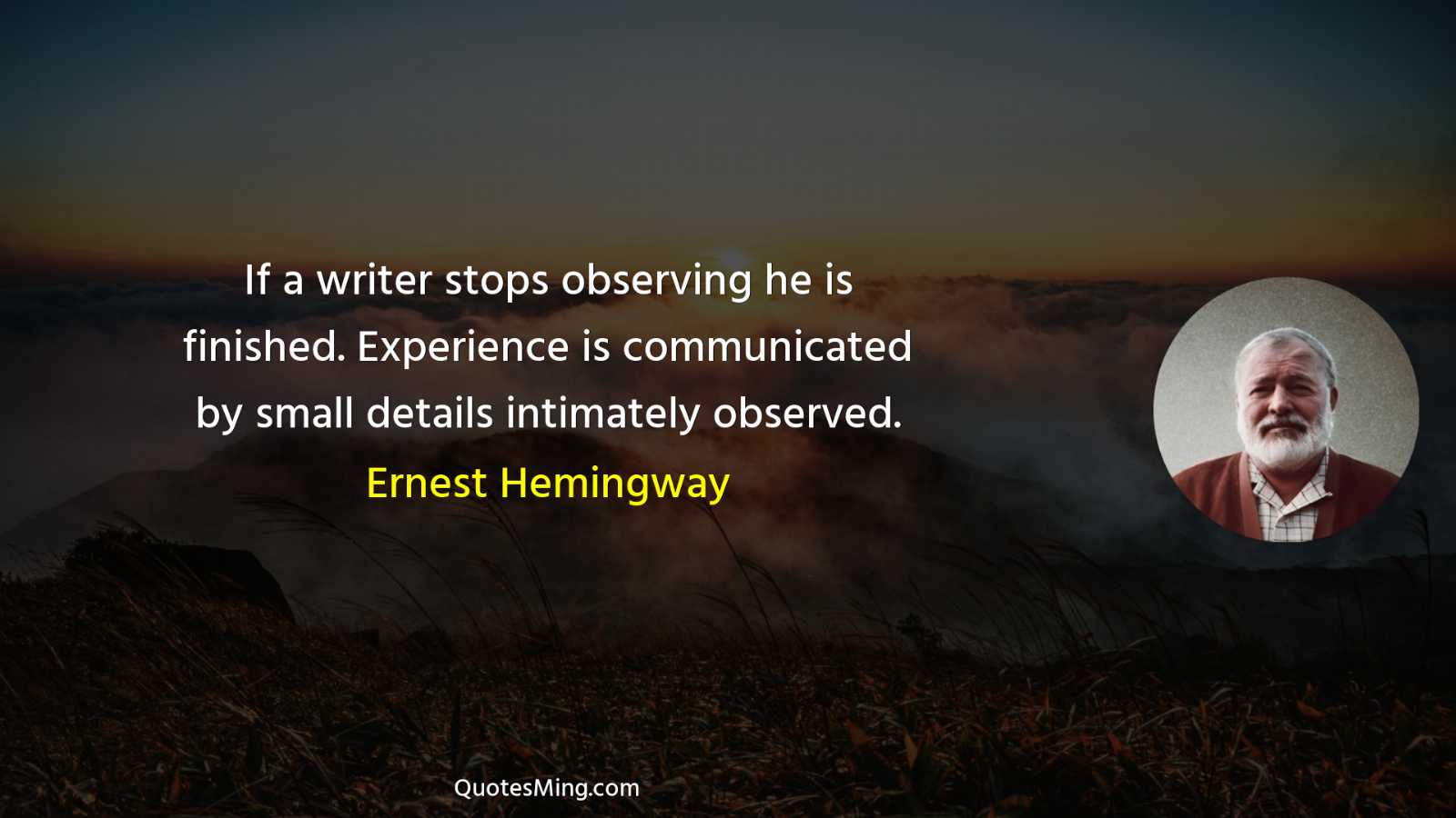 If a writer stops observing he is finished Experience is