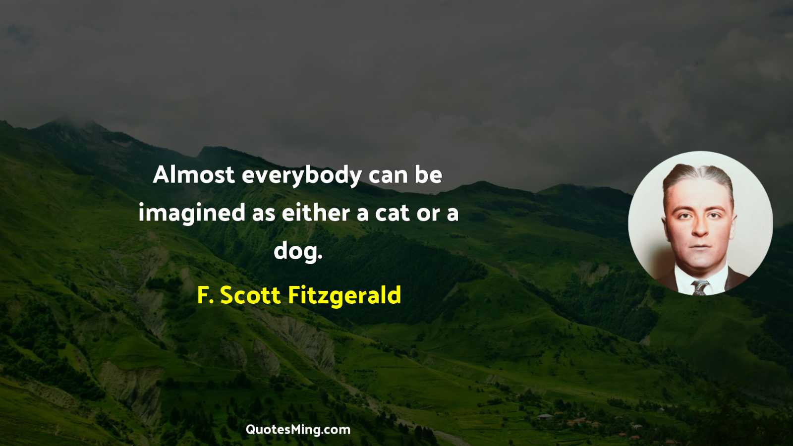 Almost everybody can be imagined as either a cat or