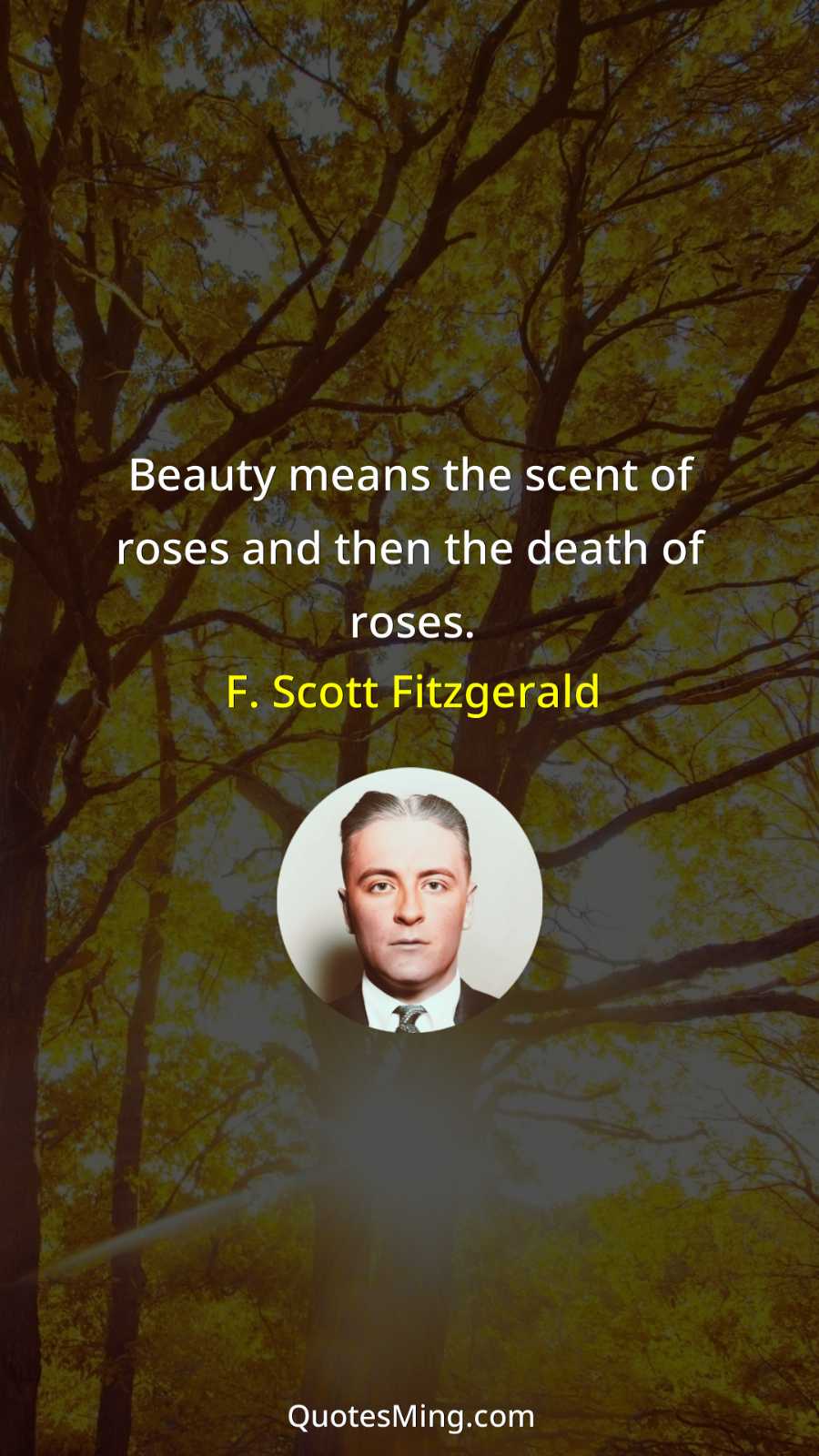 Beauty means the scent of roses and then the death