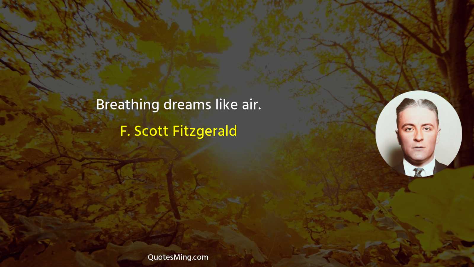 Breathing dreams like air