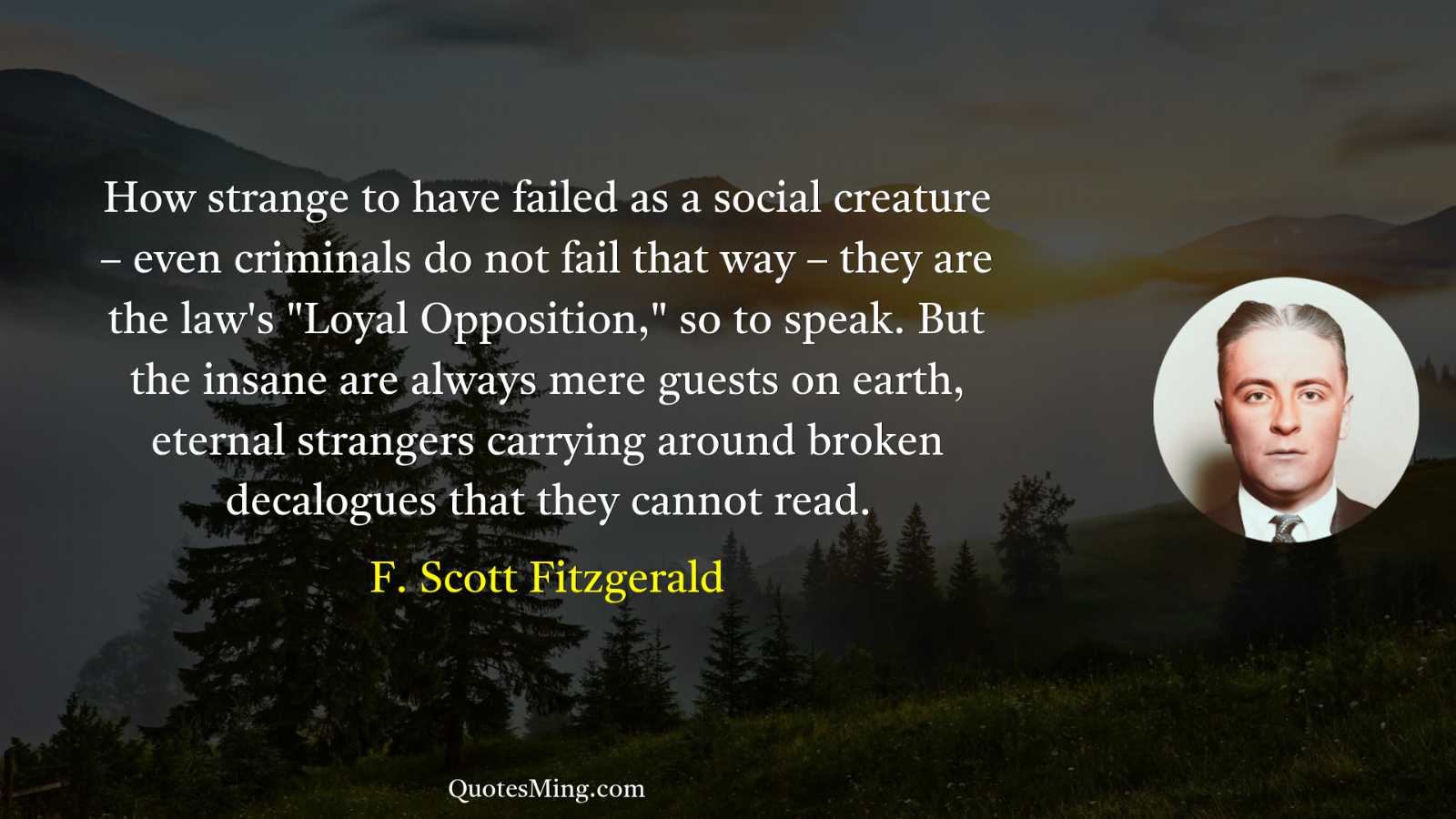 How strange to have failed as a social creature –