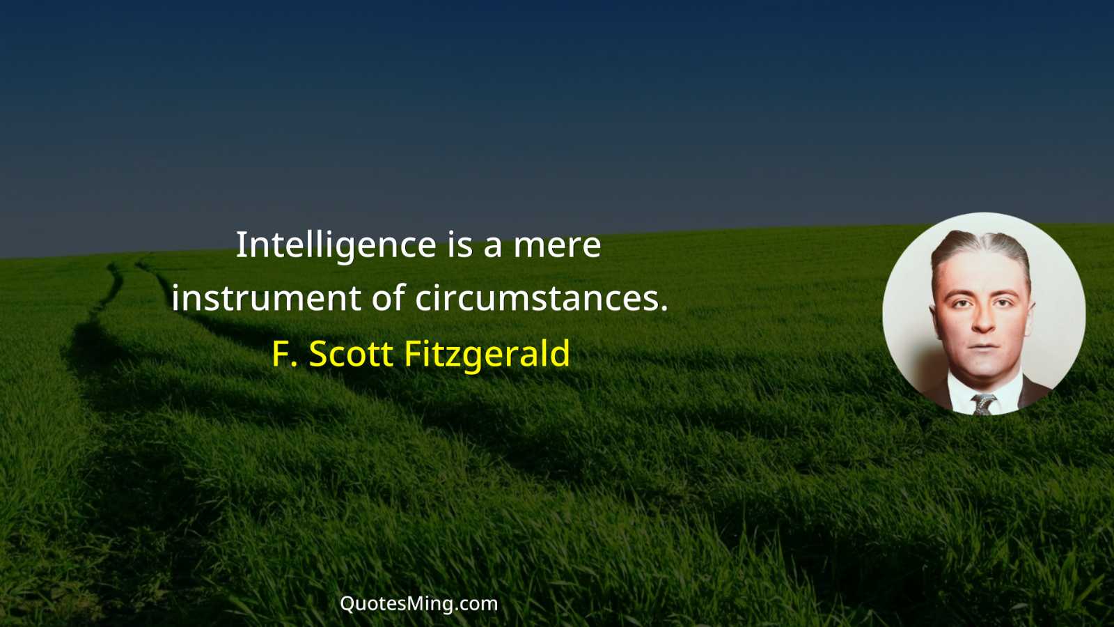 Intelligence is a mere instrument of circumstances