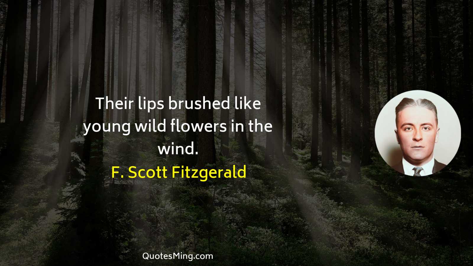 Their lips brushed like young wild flowers in the wind