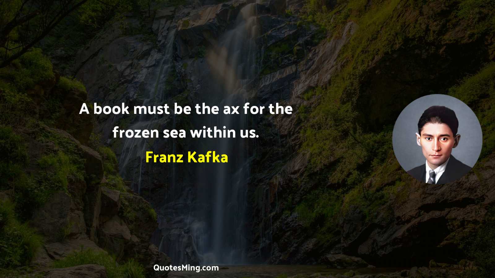 A book must be the ax for the frozen sea