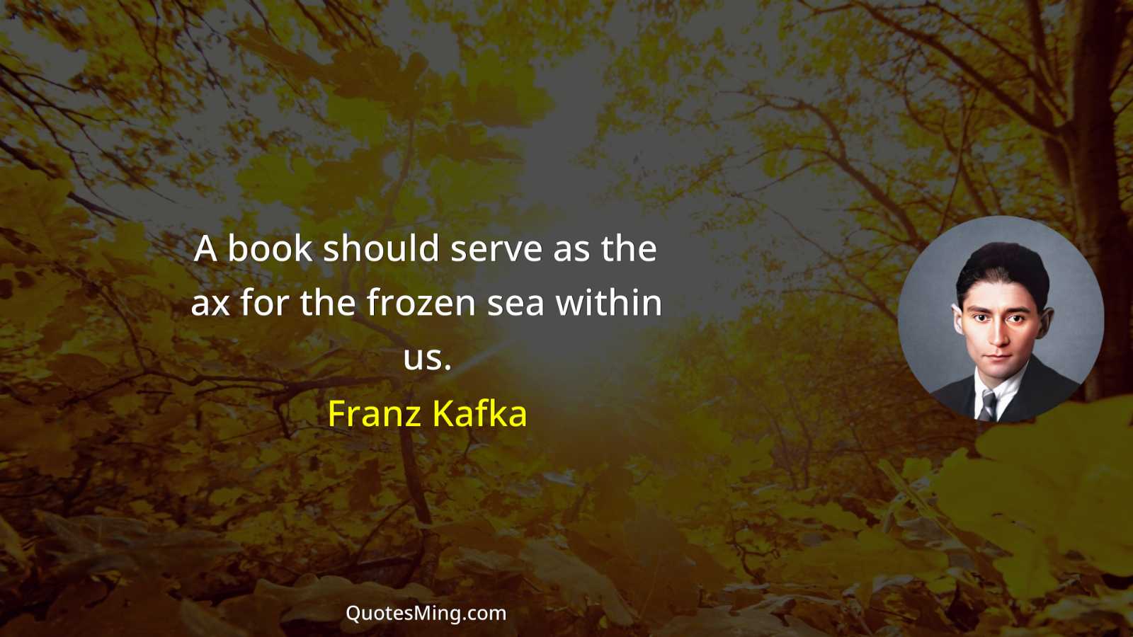 A book should serve as the ax for the frozen