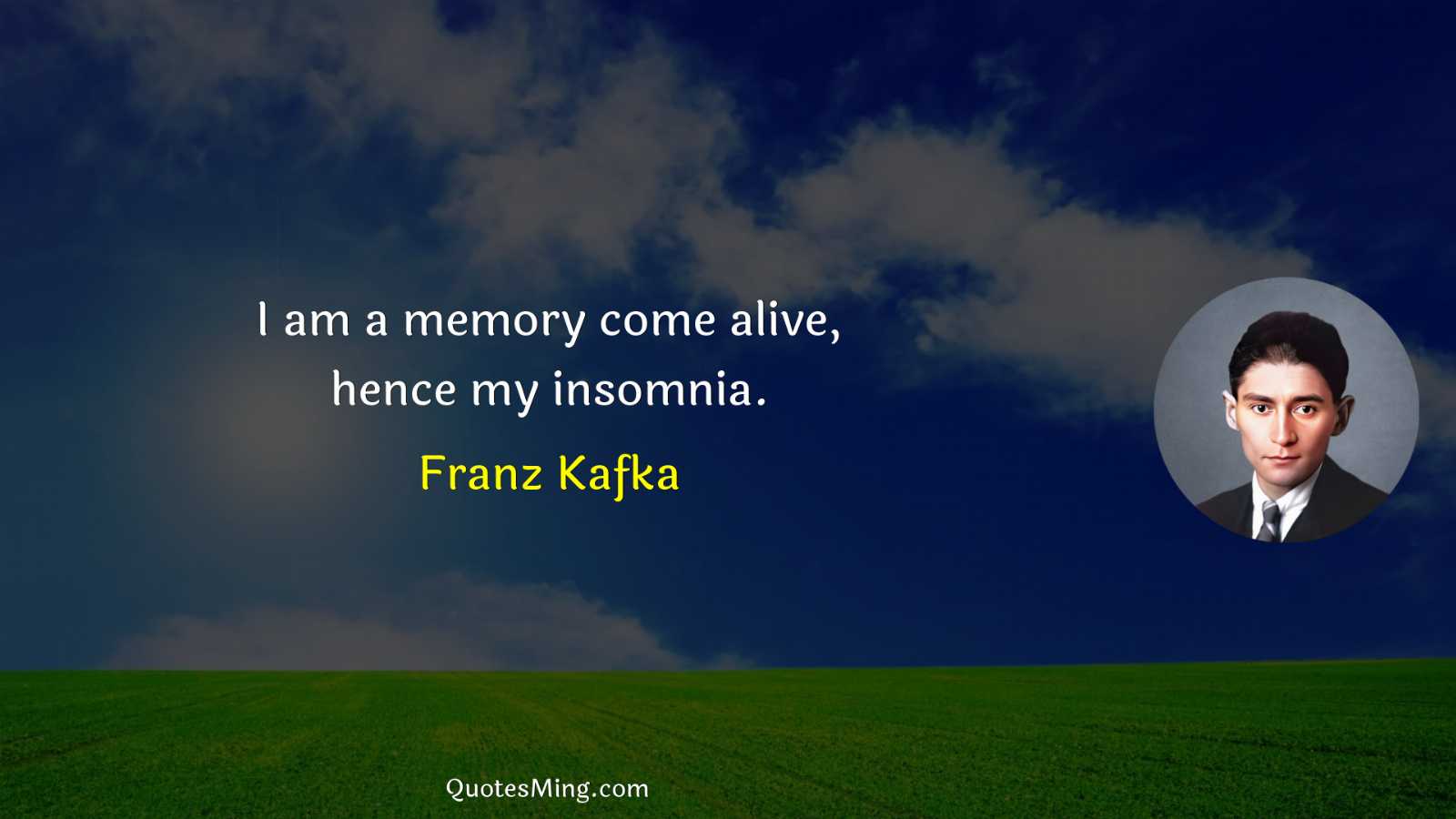 I am a memory come alive hence my insomnia