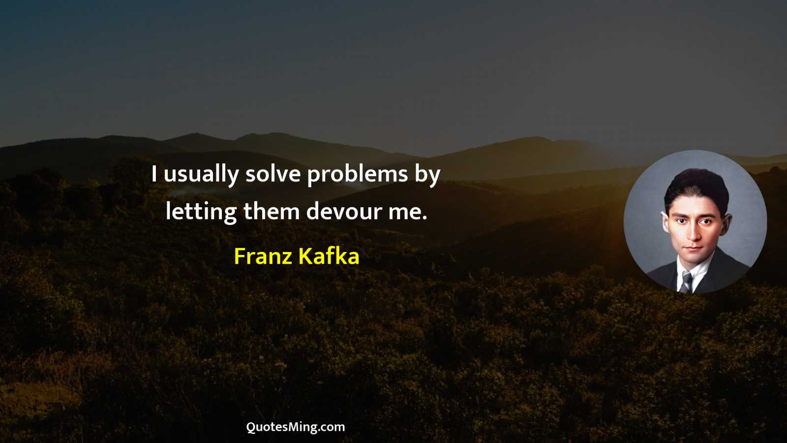 I usually solve problems by letting them devour me