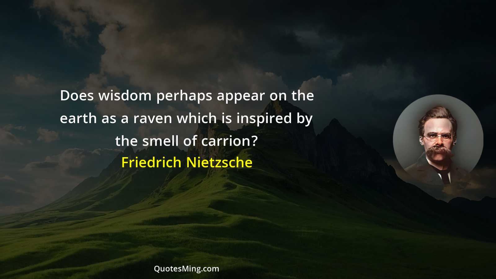 Does wisdom perhaps appear on the earth as a raven