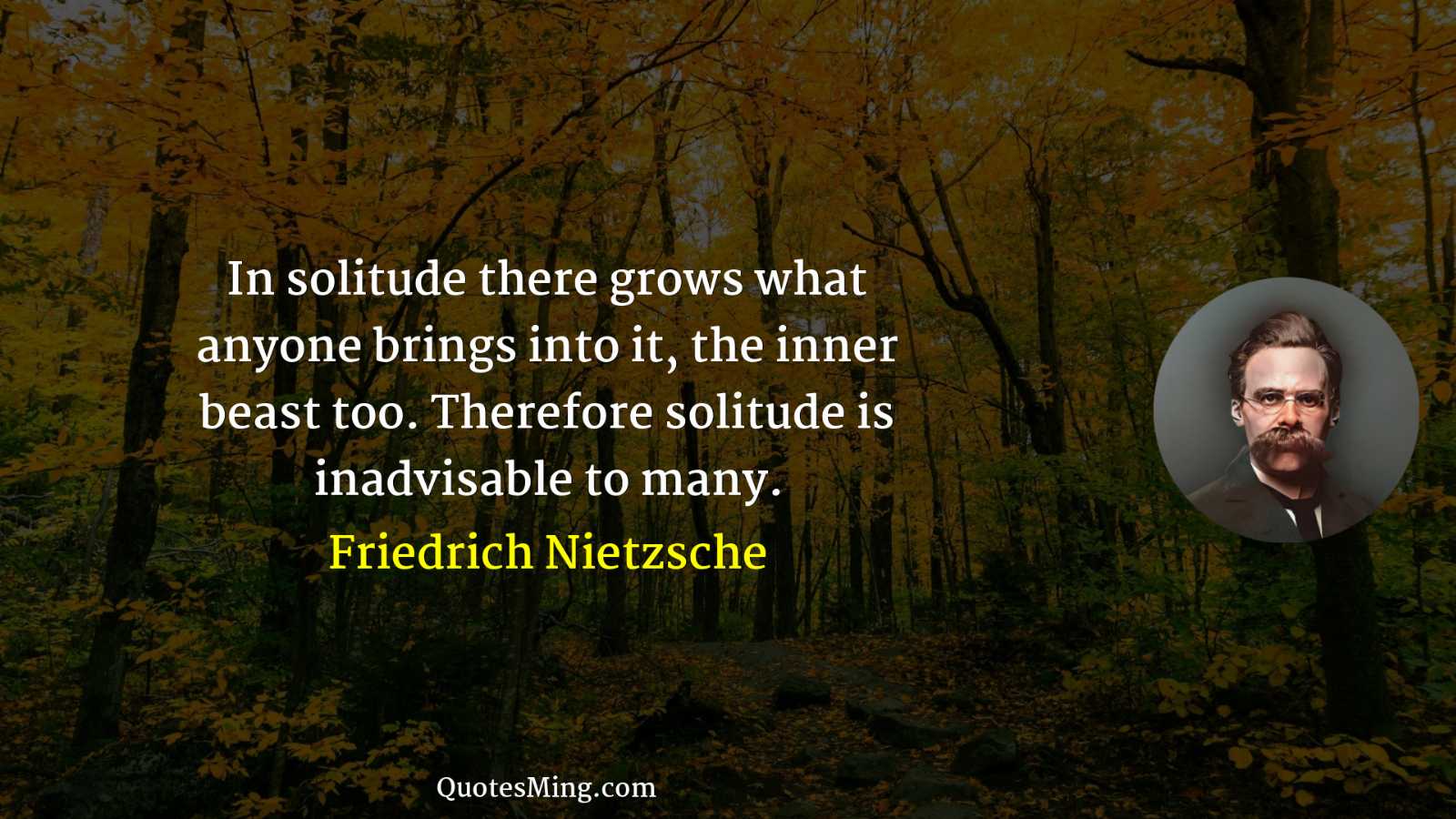 In solitude there grows what anyone brings into it the