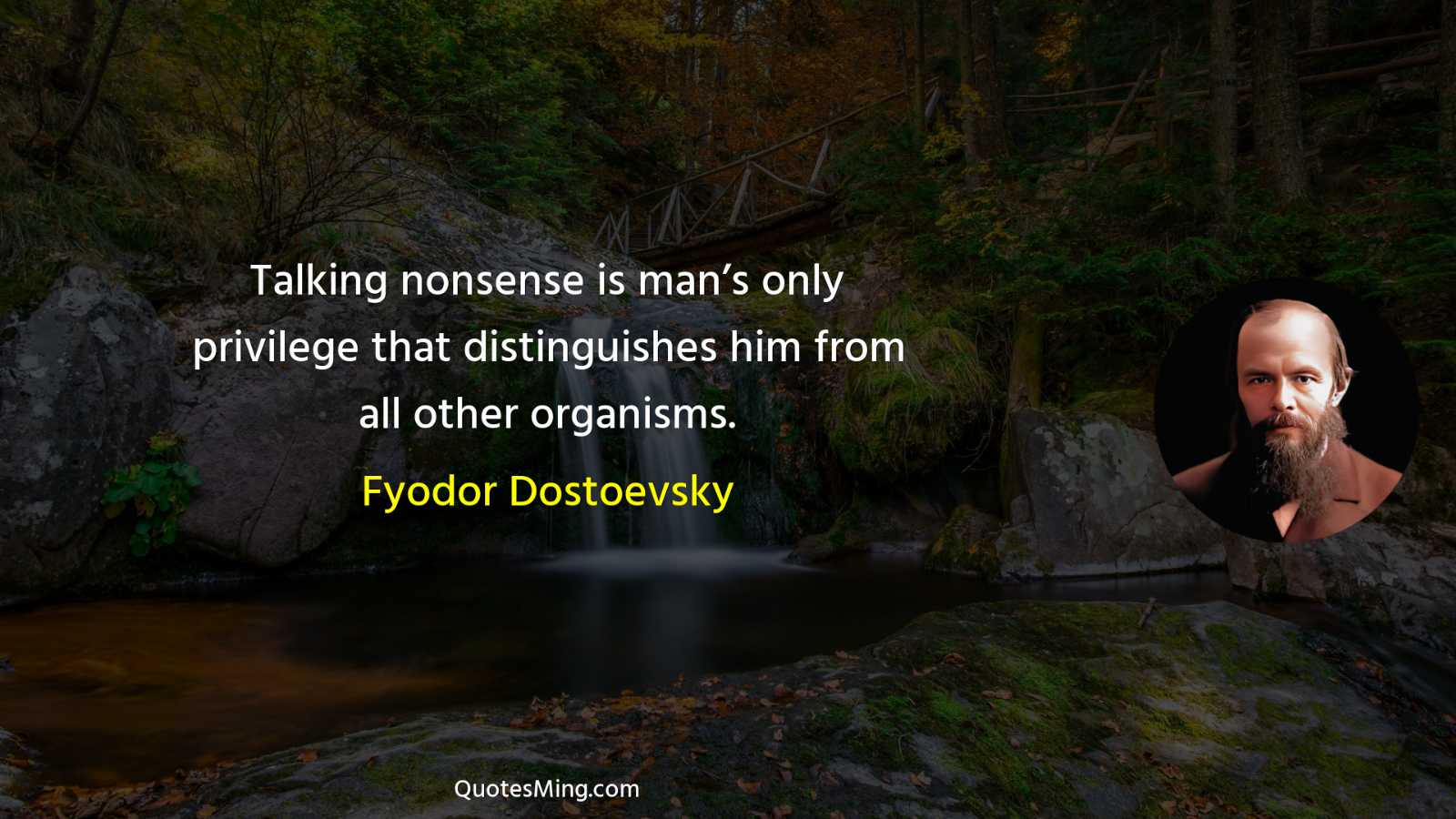 Talking nonsense is man’s only privilege that distinguishes him from