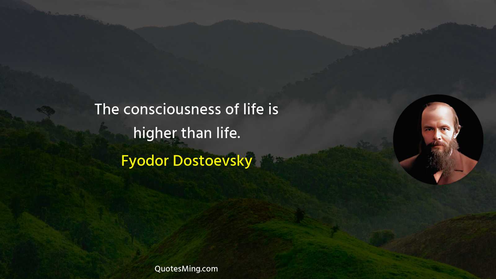 The consciousness of life is higher than life