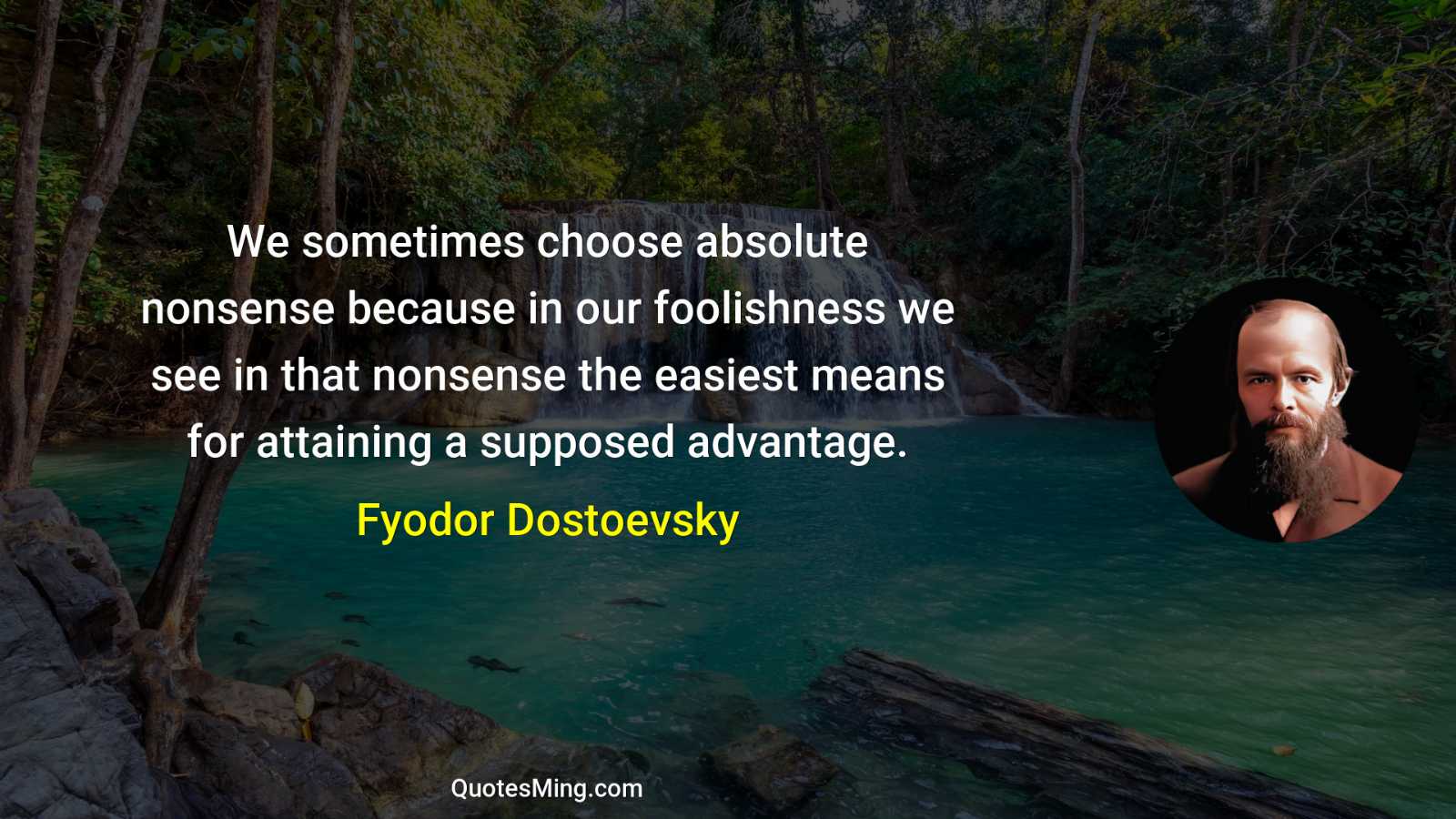 We sometimes choose absolute nonsense because in our foolishness we