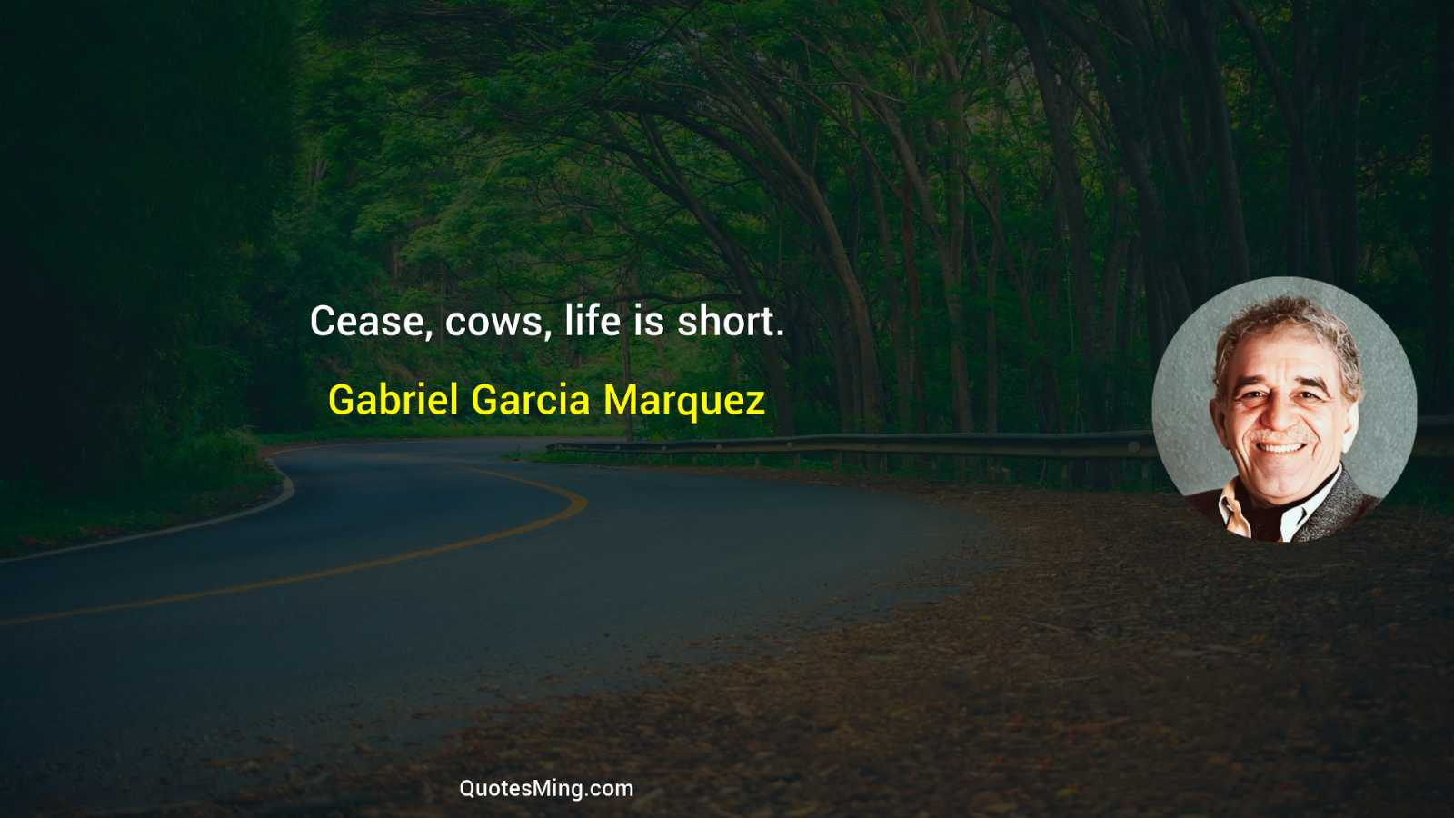 Cease cows life is short