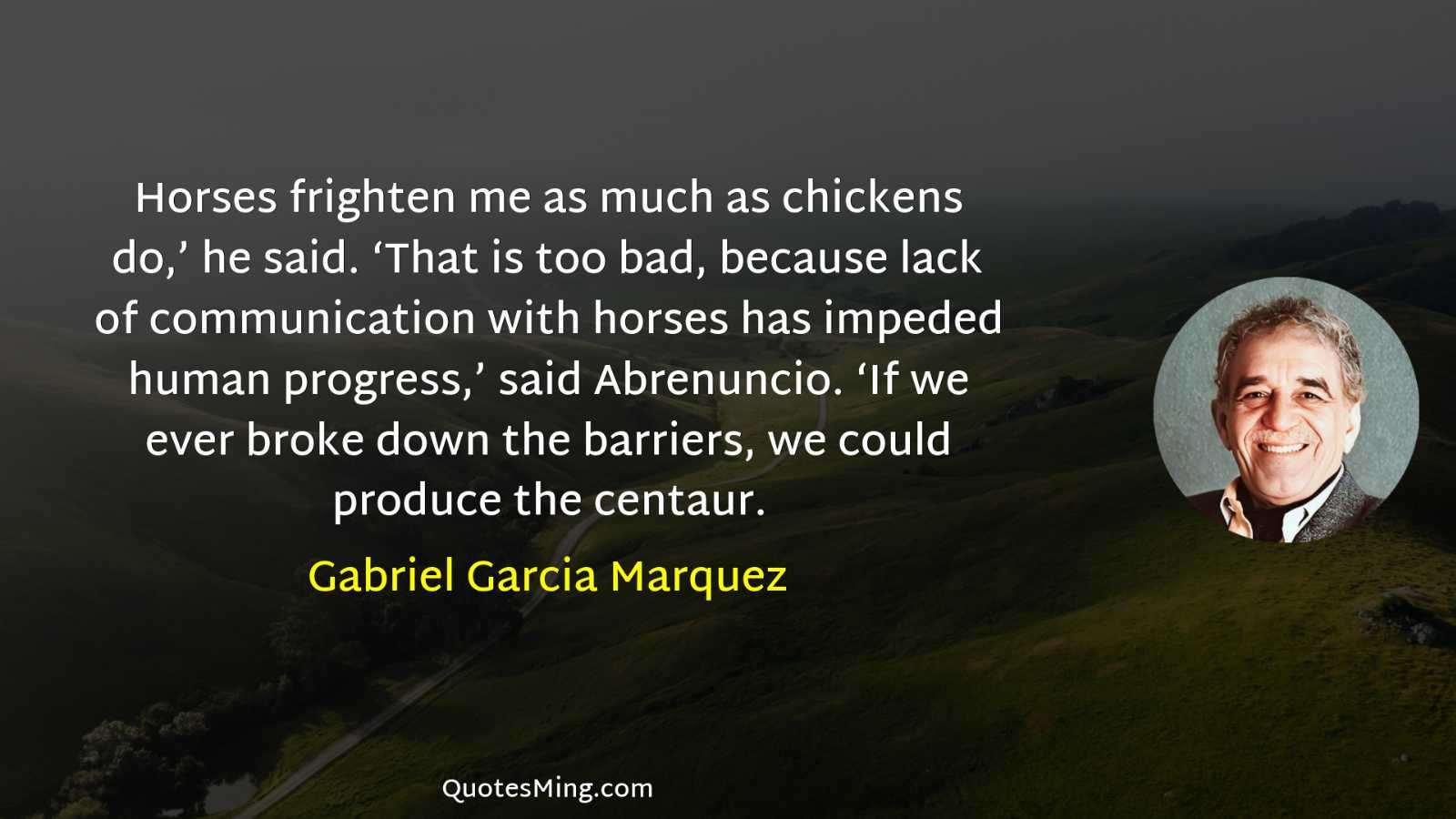 Horses frighten me as much as chickens do’ he said