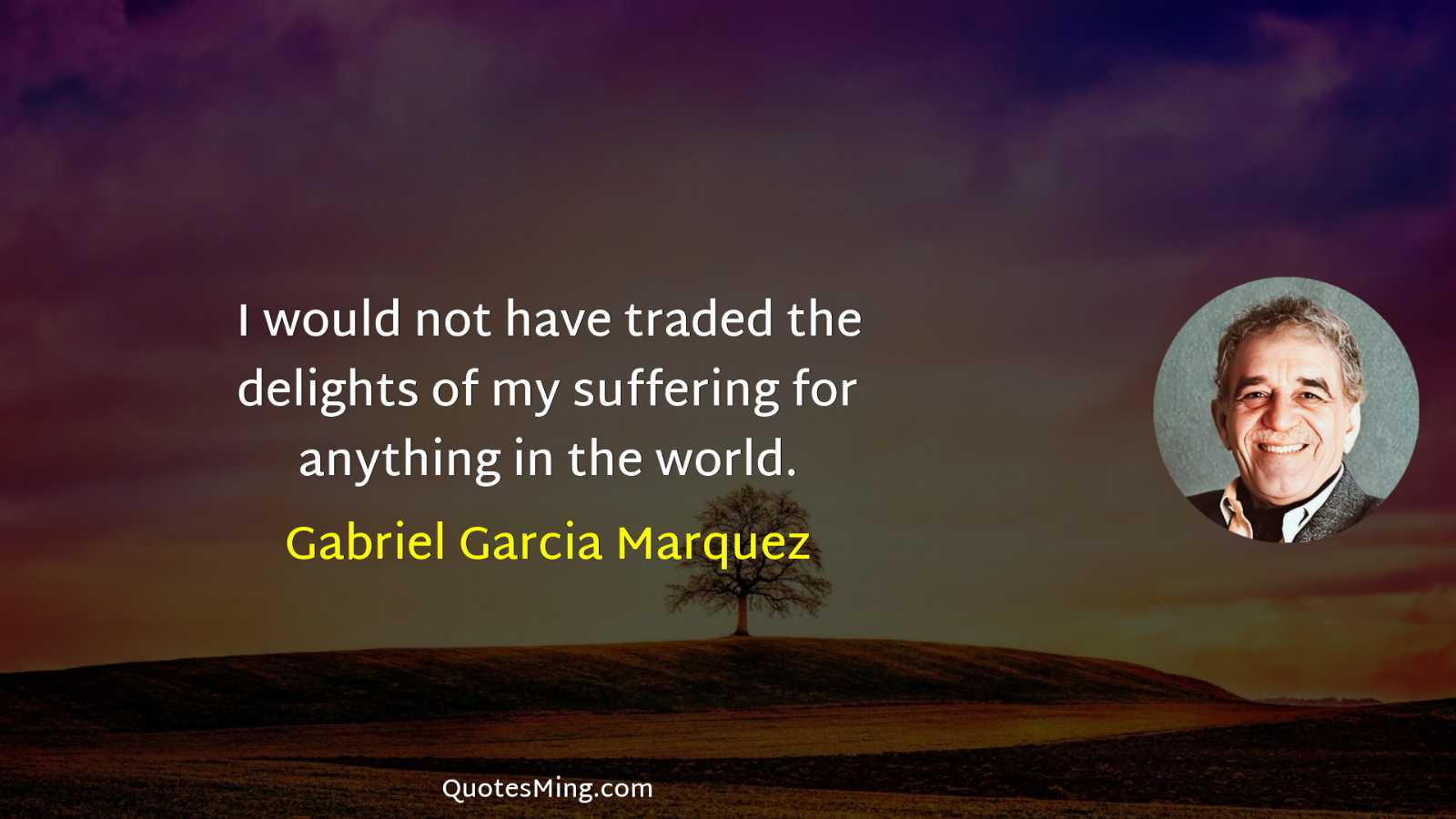 I would not have traded the delights of my suffering