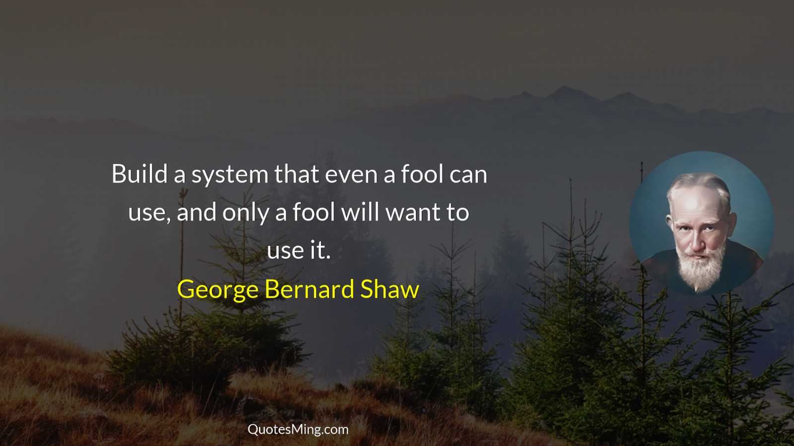 Build a system that even a fool can use and