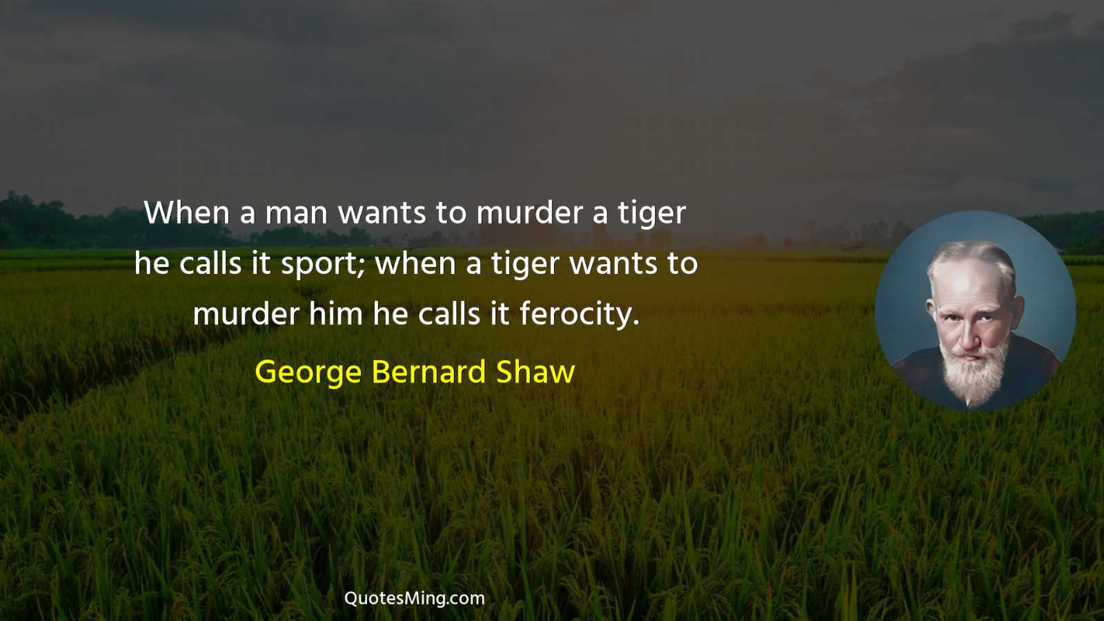 When a man wants to murder a tiger he calls