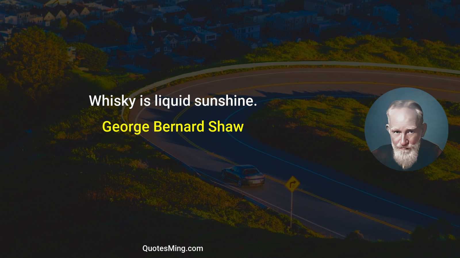 Whisky is liquid sunshine