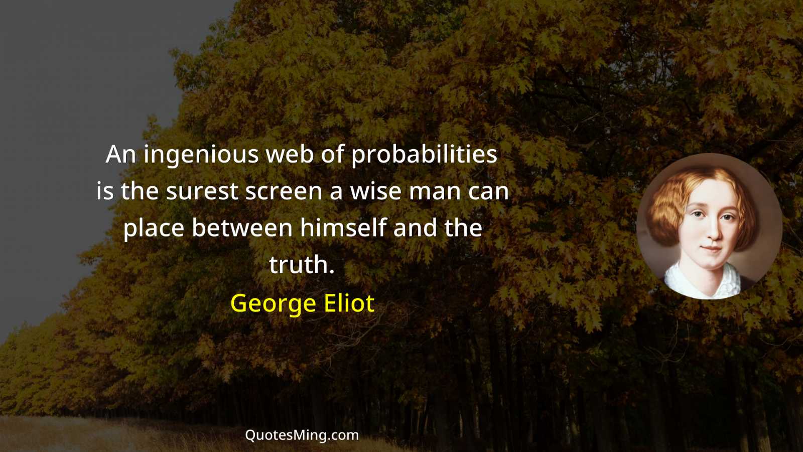 An ingenious web of probabilities is the surest screen a