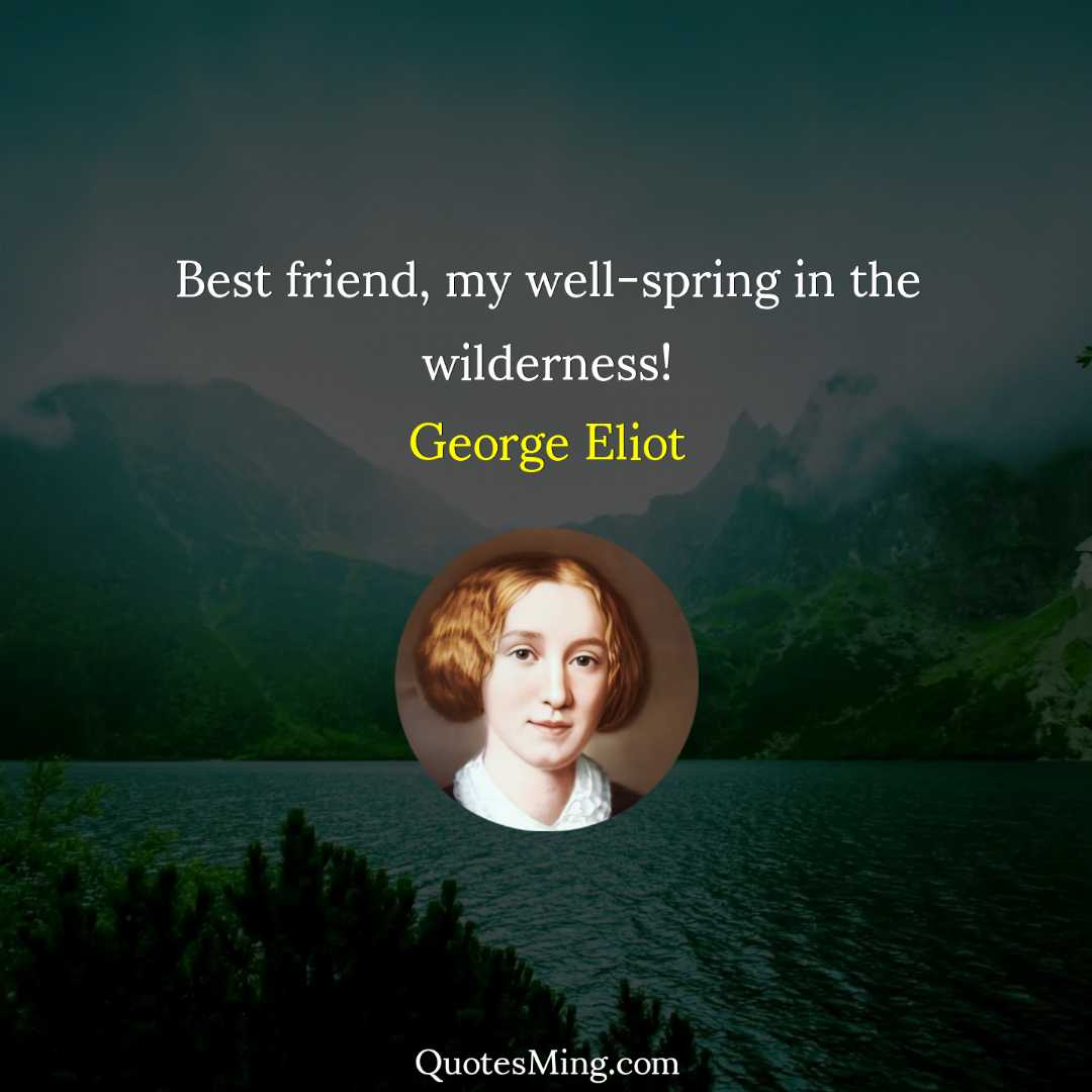 Best friend my well-spring in the wilderness