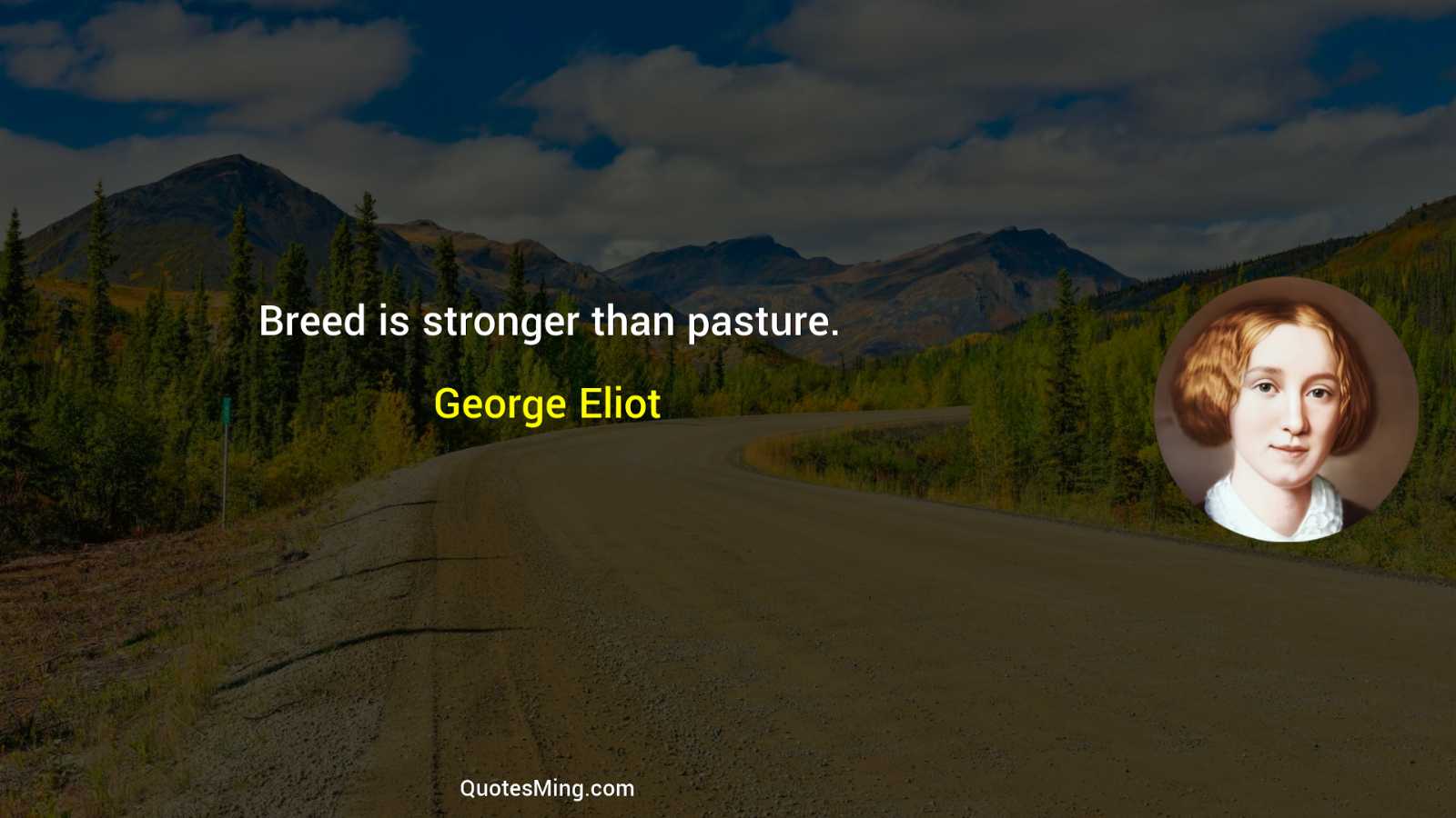 Breed is stronger than pasture