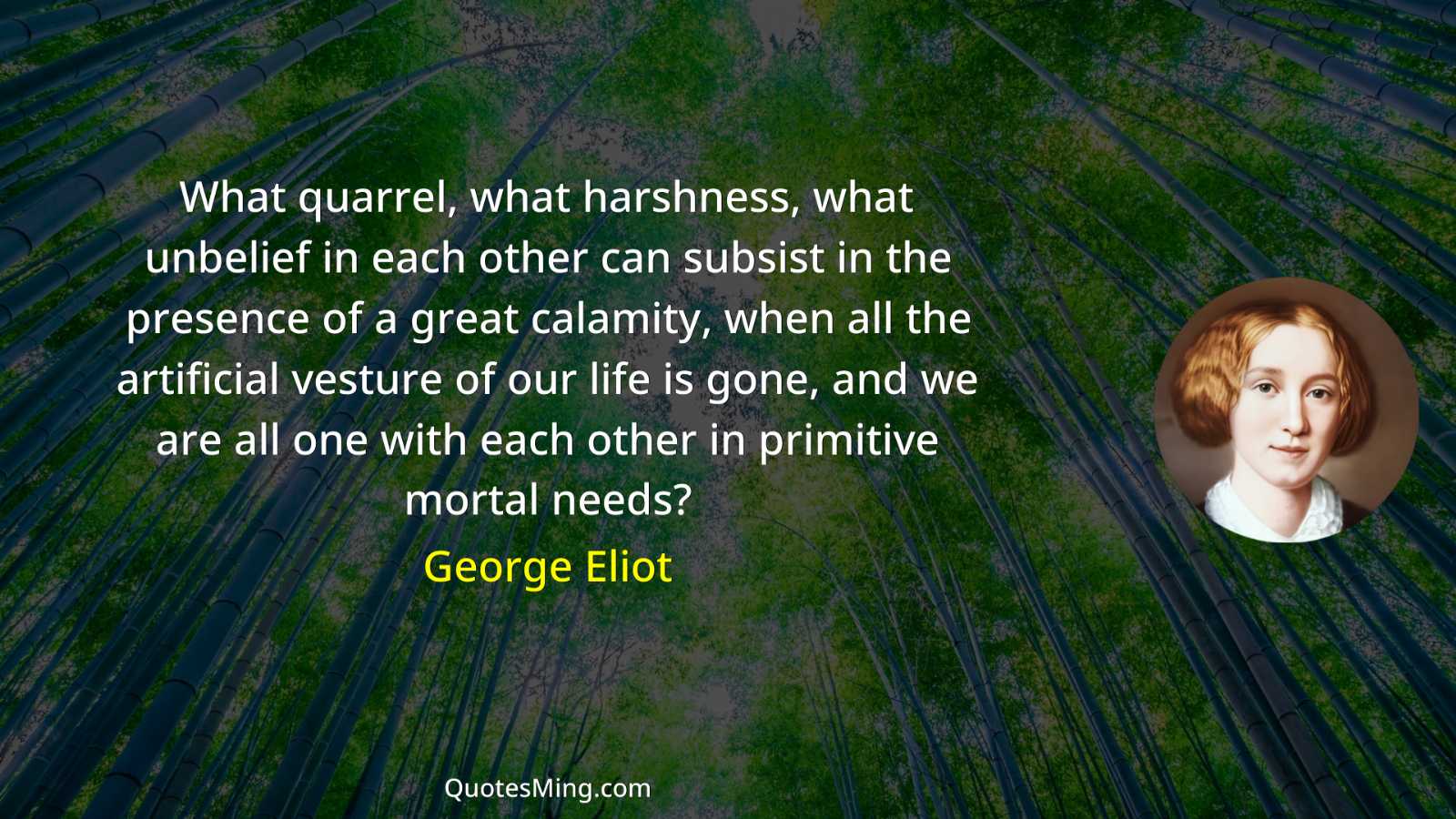 What quarrel what harshness what unbelief in each other can