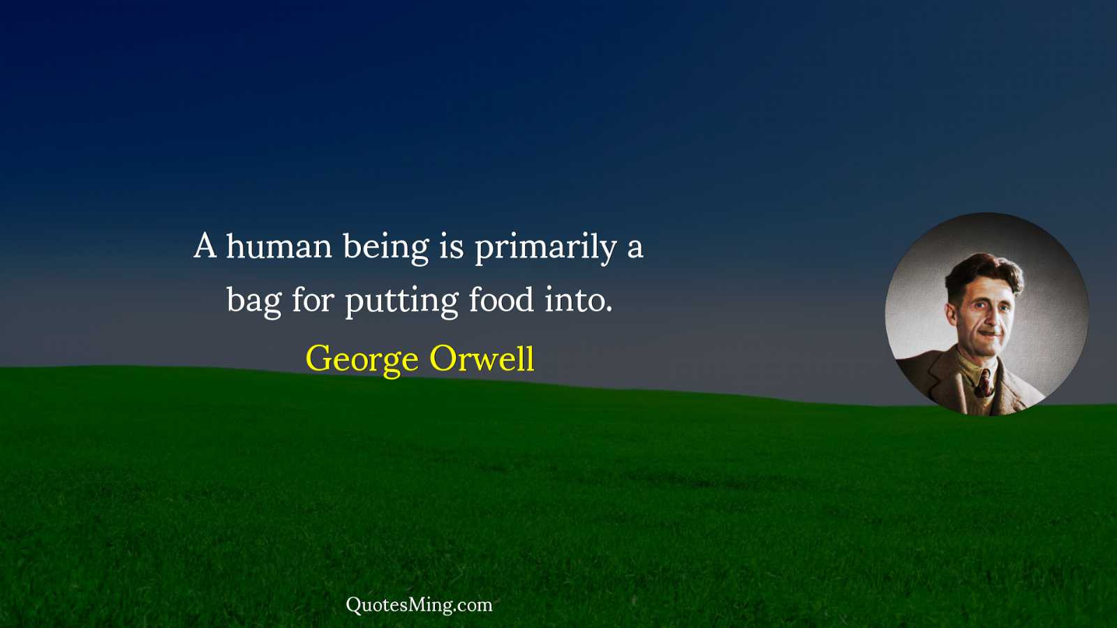 A human being is primarily a bag for putting food