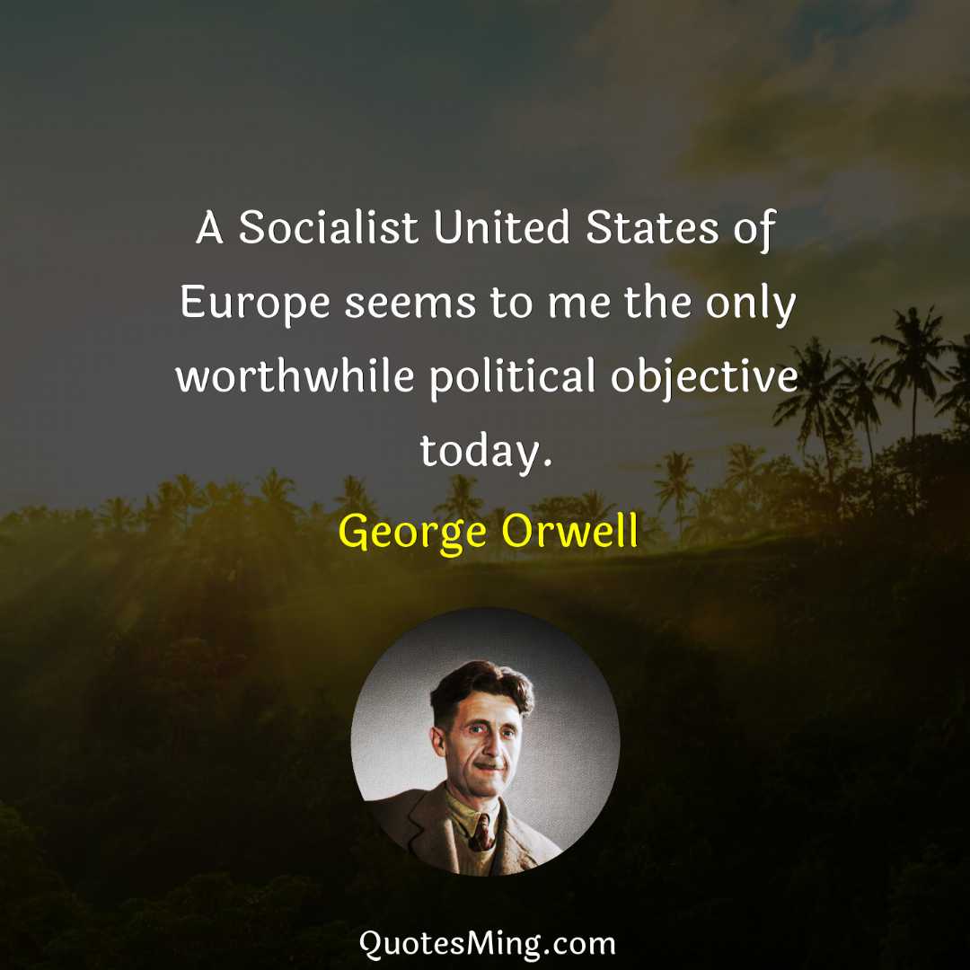 A Socialist United States of Europe seems to me the