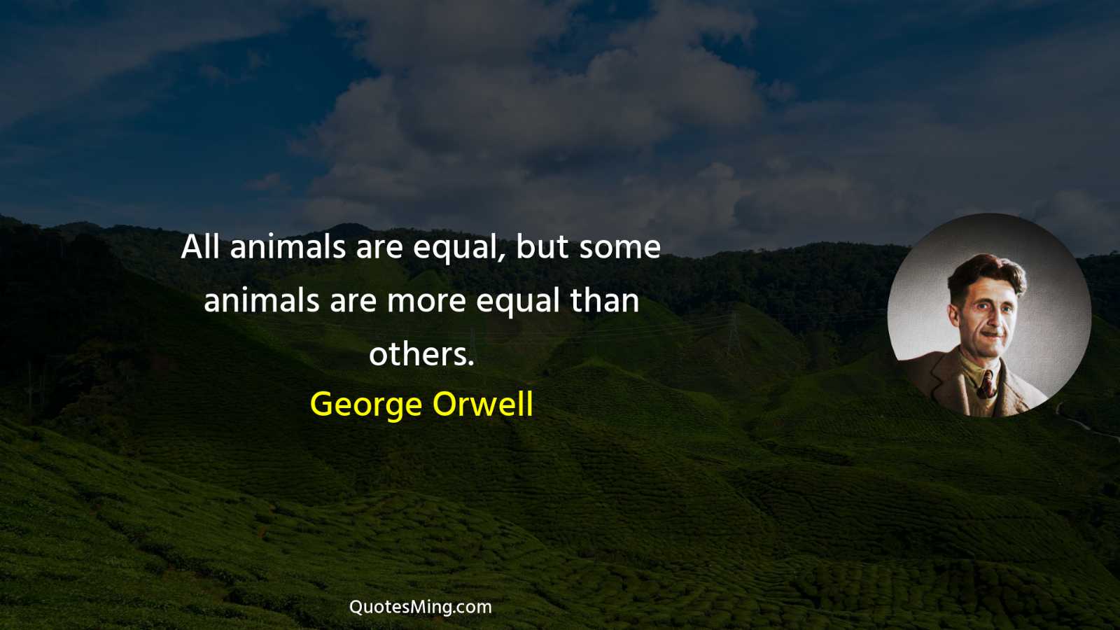 All animals are equal but some animals are more equal